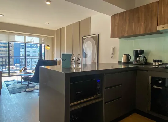 Fascinating 1BR with balcony in San Isidro