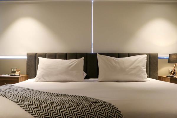 Elegant Loft in San Isidro