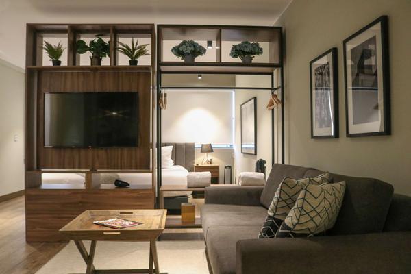 Elegant Loft in San Isidro