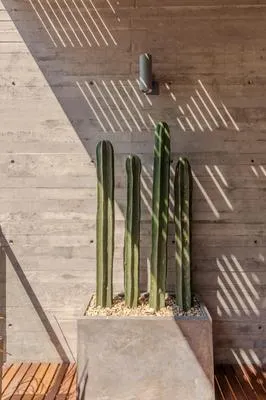 Stylish 2BR Apartment with Ocean View in La Paz